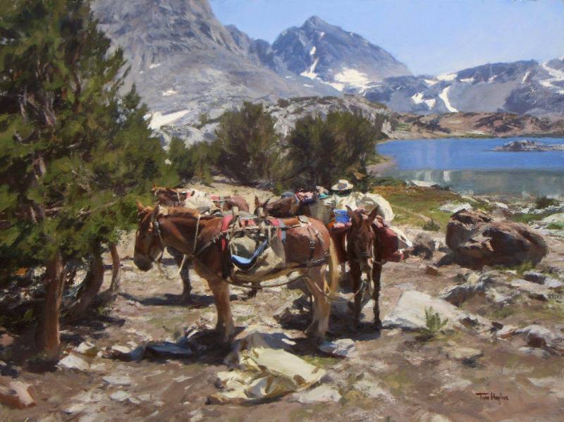 Sierra Pack Mules