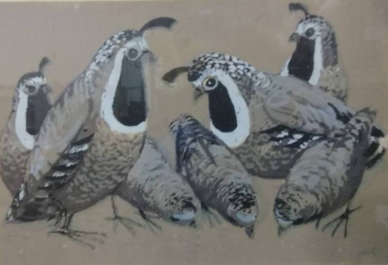 Quails