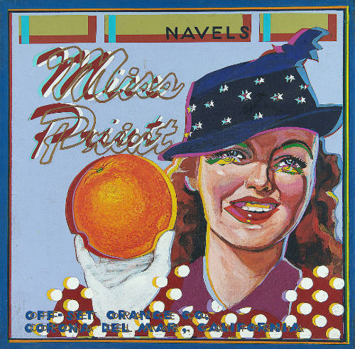 Miss Print Navels