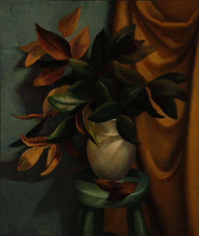 Still Life with Drape