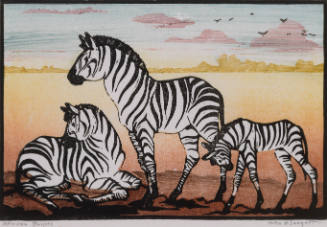 African Stripes