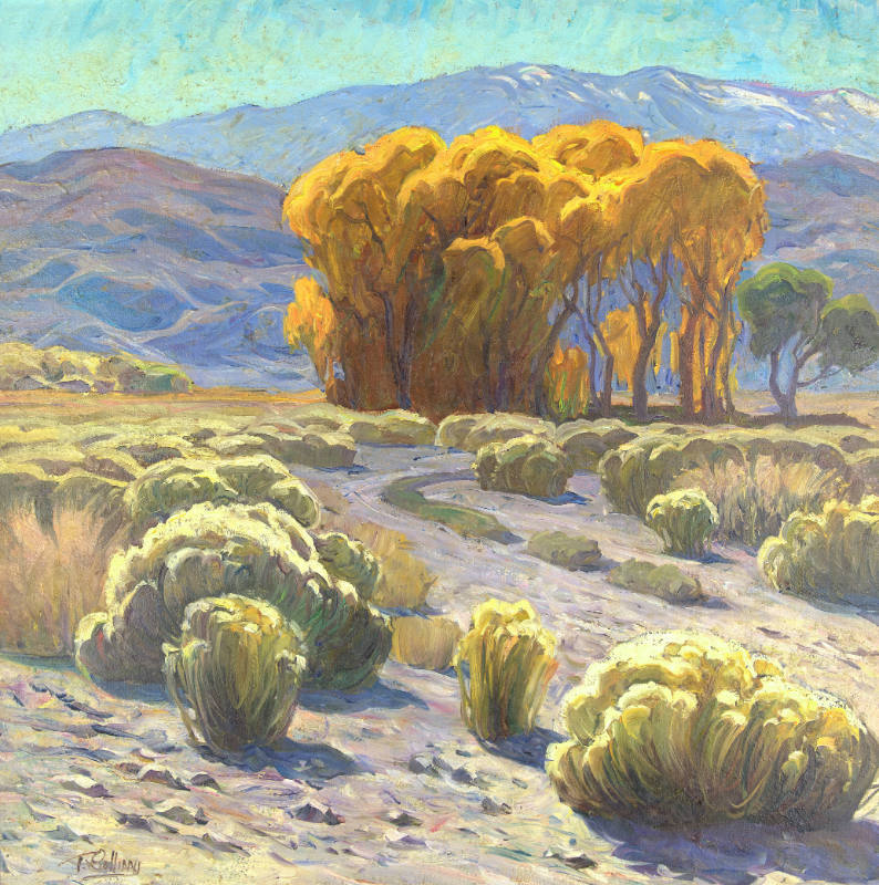 Desert Landscape