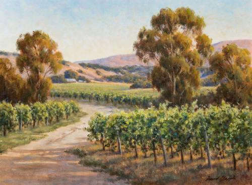 Vineyard Light, San Luis Obispo County