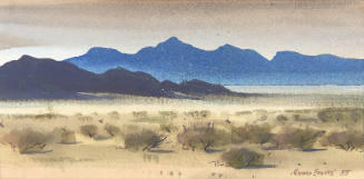 Desert Foothills