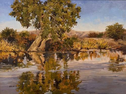 Cottonwood Reflections